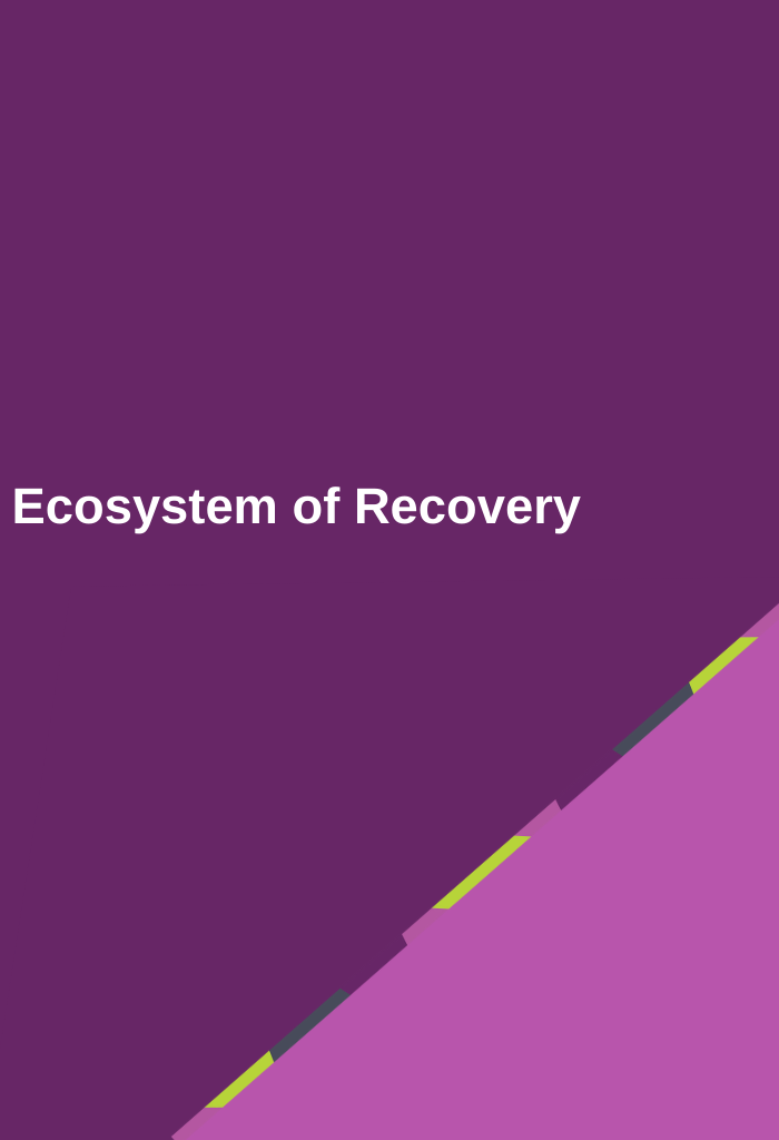 Ecosystem-of-Recovery