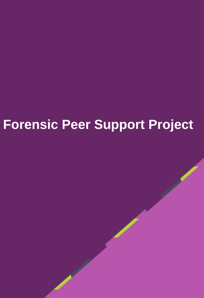Forensic-Peer-Support-Project