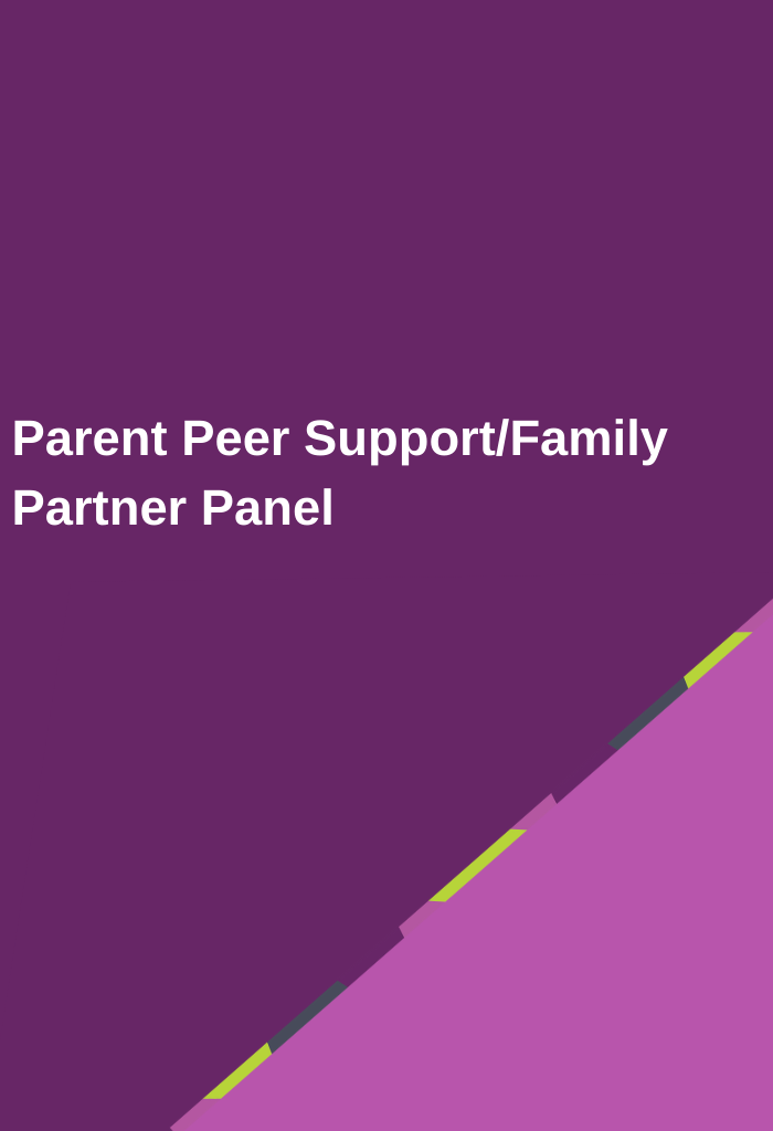 Parent-Peer-SupportFamily-Partner-Panel