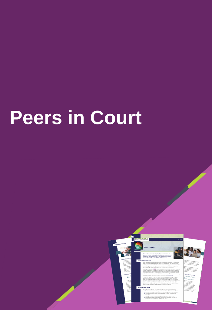 Peers-in-Court