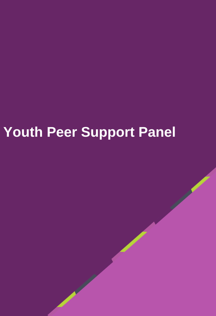 Youth-Peer-Support-Panel